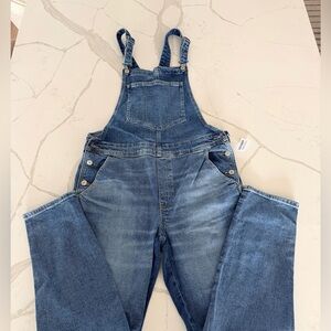 Old Navy Denim Overalls